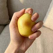 Potato Pal Meltdown