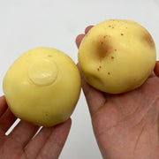 Crunchy Potato Squishy