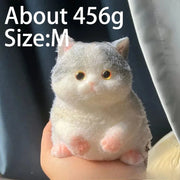 Chubby Cat Squishy