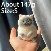 Chubby Cat Squishy