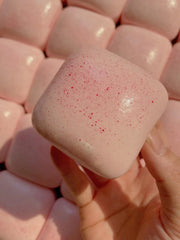 Small Square Toast Squishy