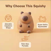 Capybara Cloud Crush