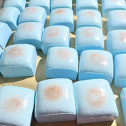 Square Bread Squishy