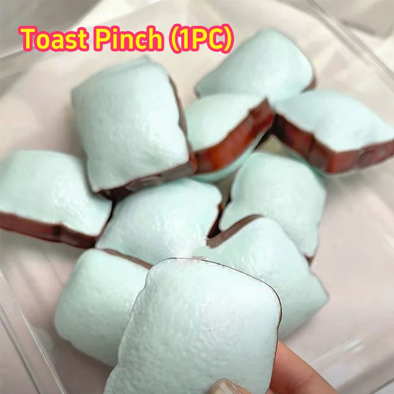 Crunchy Toast Squishy