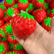 Crunchy Strawberry Squishy