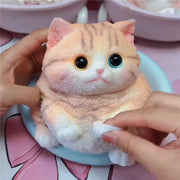 Chubby Cat Squishy