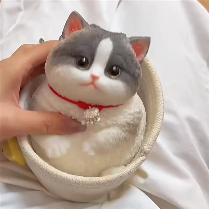 Chubby Cat Squishy