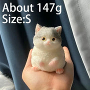 Chubby Cat Squishy